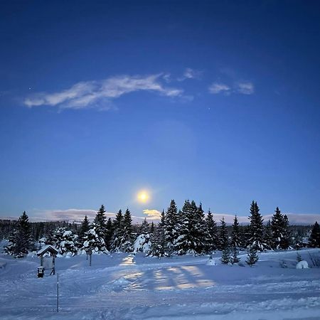 Nordseter Fjellpark, Hyttegrend Exteriér fotografie
