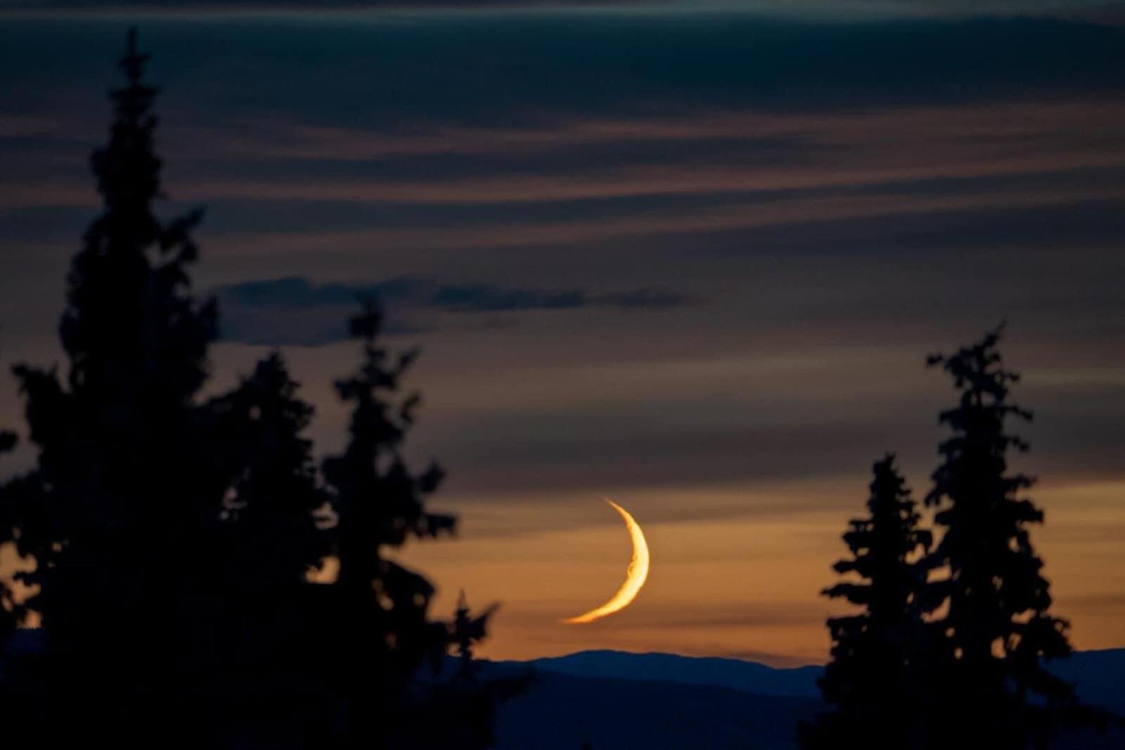 Nordseter Fjellpark, Hyttegrend Exteriér fotografie
