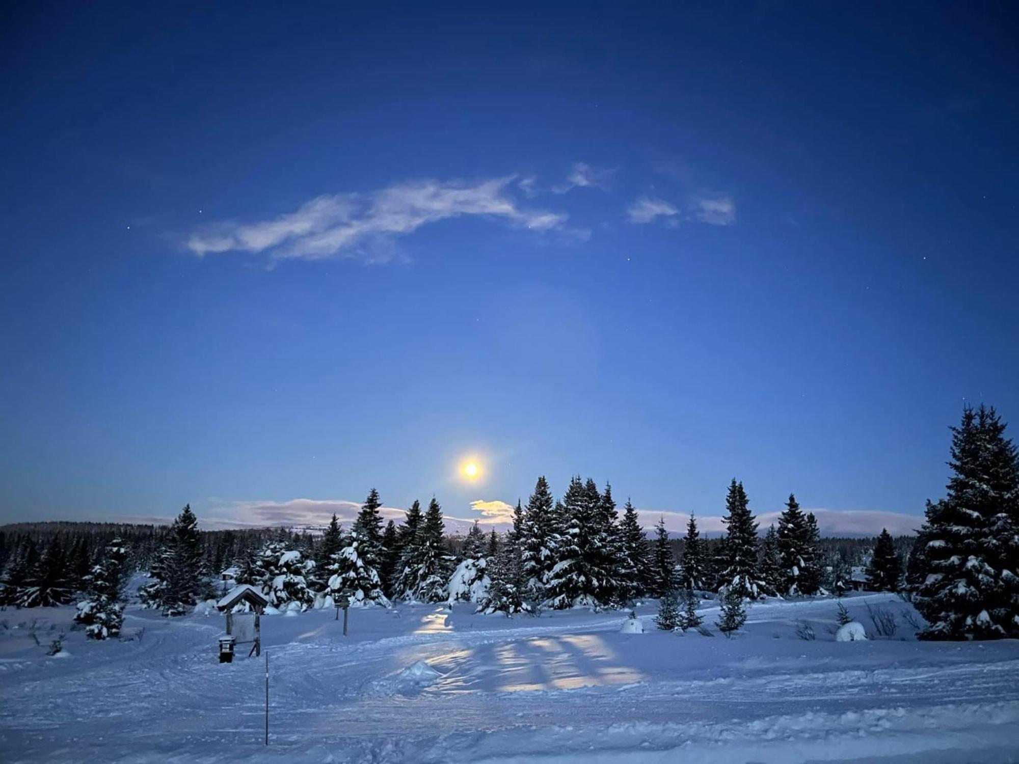 Nordseter Fjellpark, Hyttegrend Exteriér fotografie