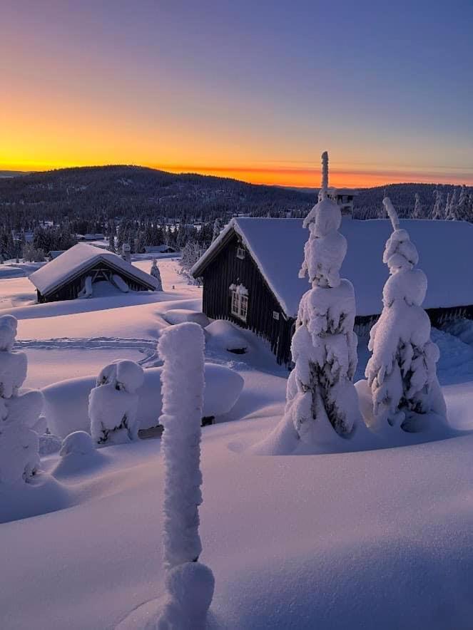 Nordseter Fjellpark, Hyttegrend Pokoj fotografie